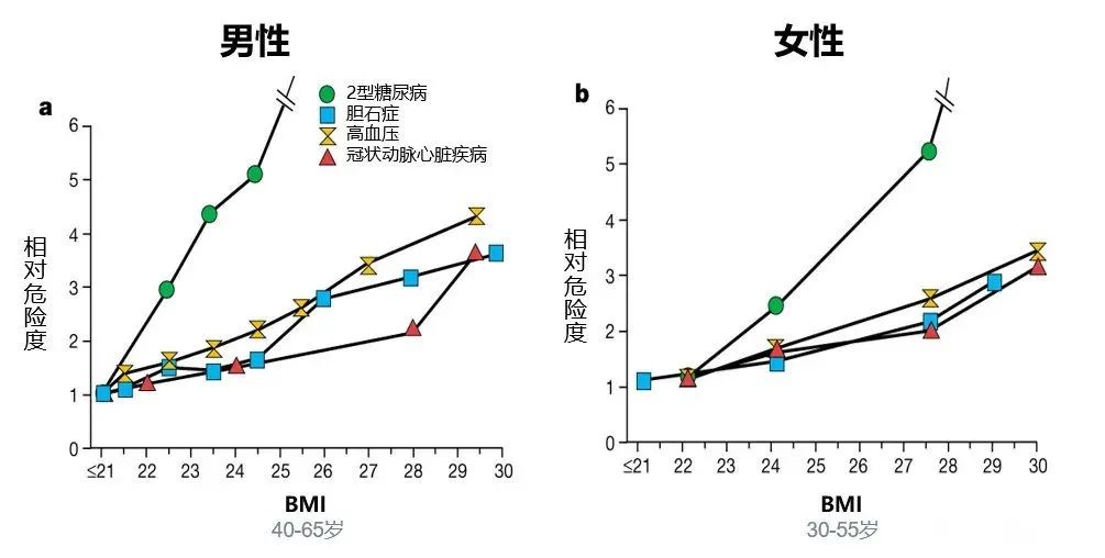 投保體重過低？投保體重超重怎麽辦？BMI不達標也可以投保！插圖2
