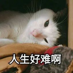 可以保終身的百萬醫療險,即將出現?插圖1 可以保終身的百萬醫療險,即將出現?插圖1