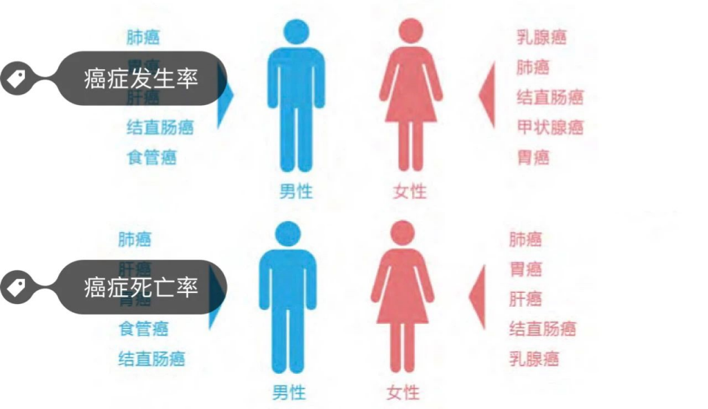癌症逐漸年輕化，防生病買什麽保險好？插圖18