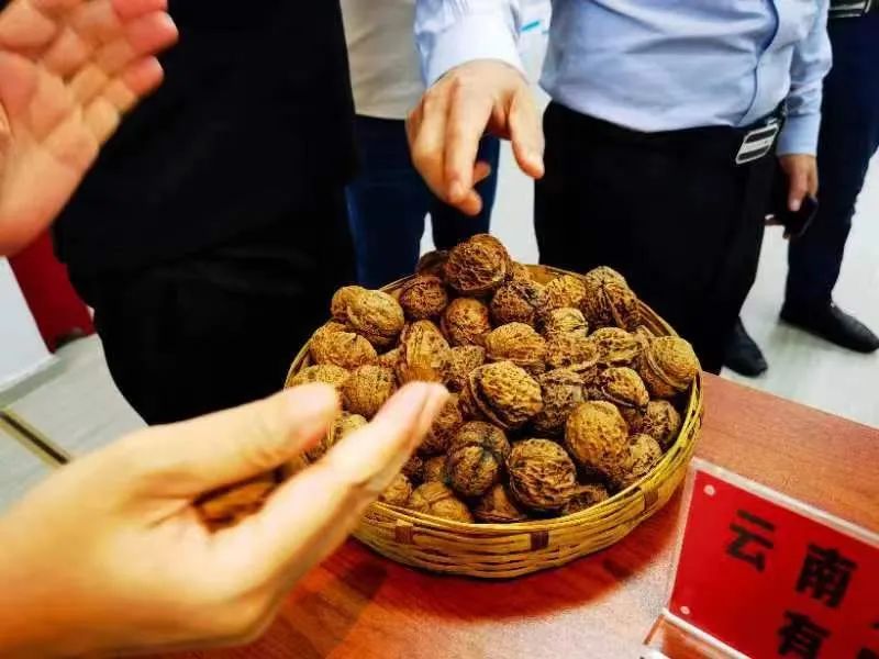 探訪雲南定點扶貧項目後，我們決定做一件事……插圖4