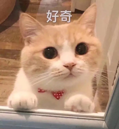 友邦保險如何？可靠嗎？插圖
