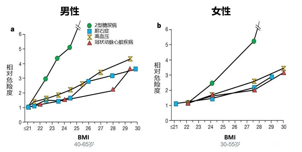 投保時體重超重/過輕，BMI不達標？一份投保攻略呈上~插圖2