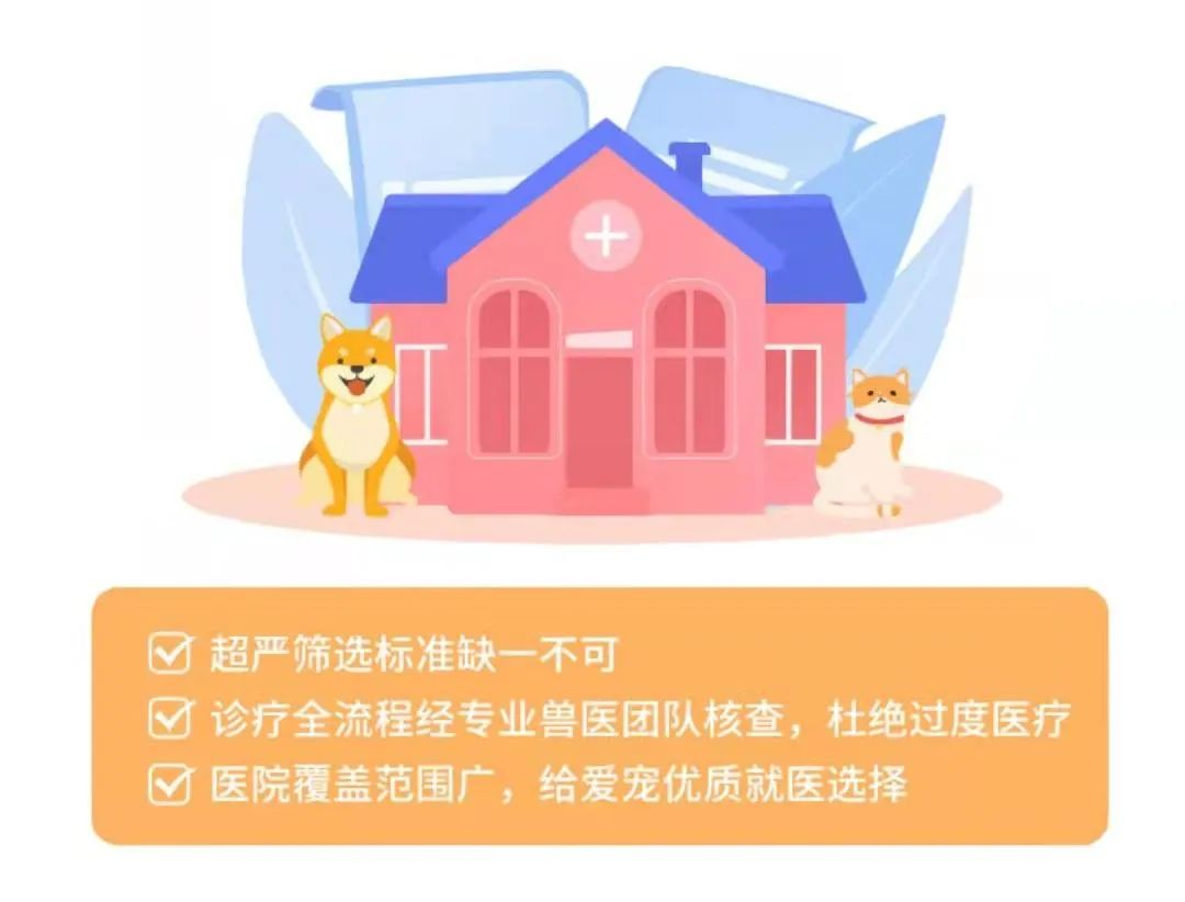 “鏟屎官們”看過來！愛寵生病、在外闖禍，它都能賠~插圖16