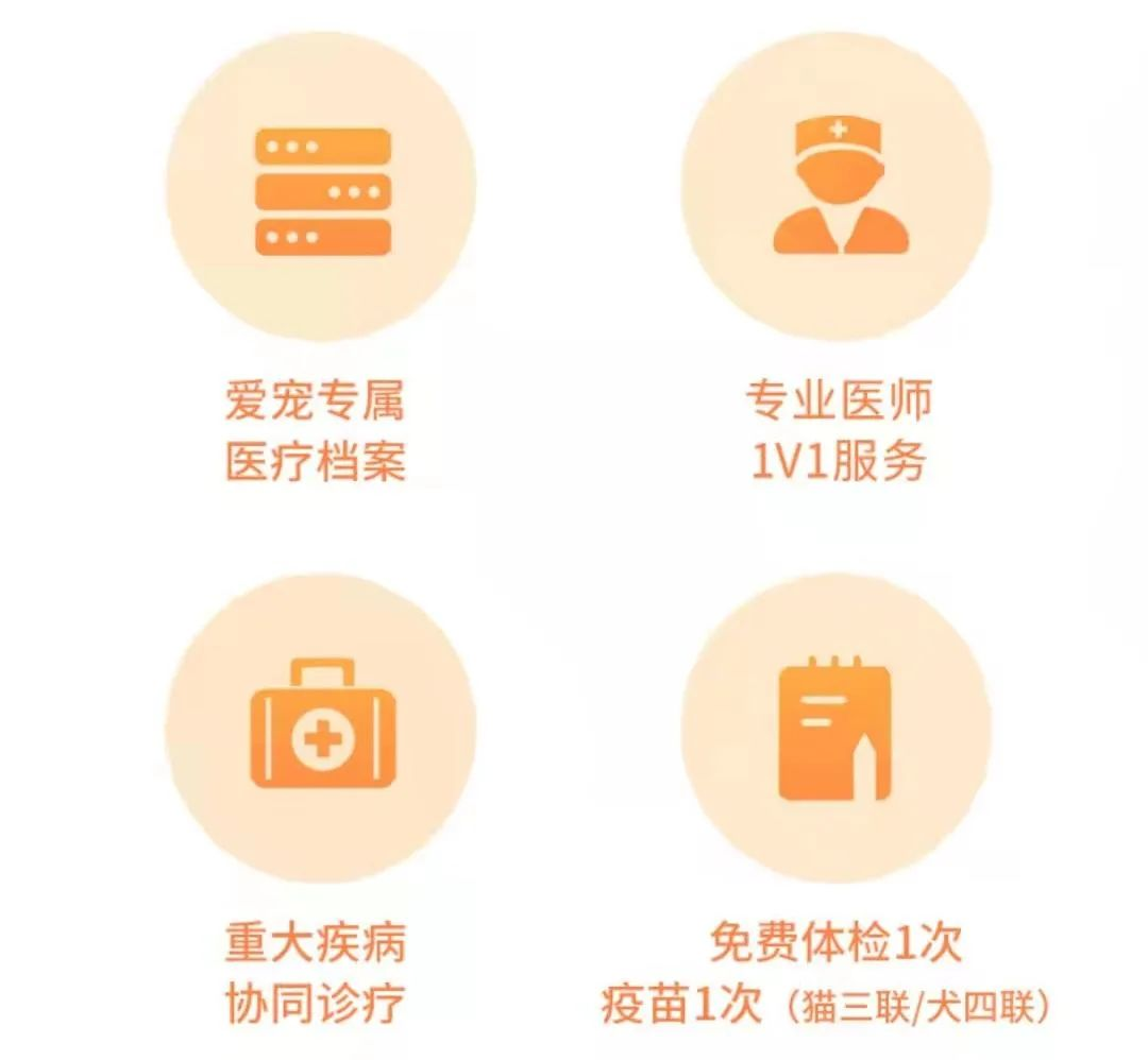 “鏟屎官們”看過來！愛寵生病、在外闖禍，它都能賠~插圖18