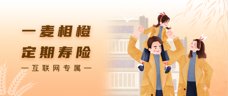 1月高性價比定期壽險榜單，青壯年們必買！插圖10