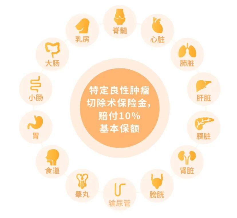 這款“超級瑪麗2020Pro”可以守護你！插圖14