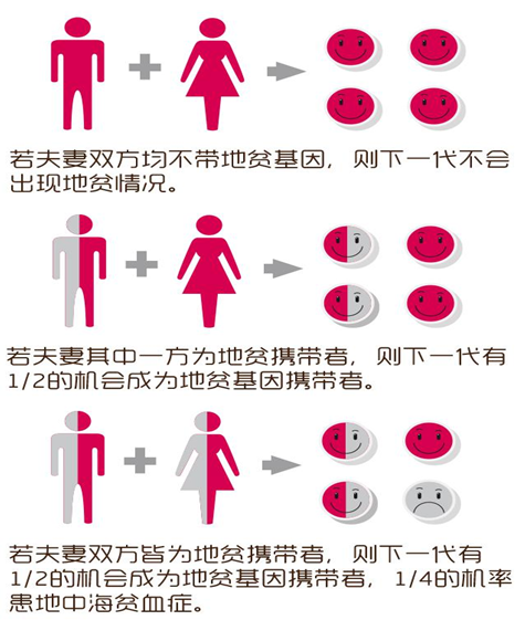 地中海貧血者買哪個險種好？還能買到重疾險嗎？插圖4