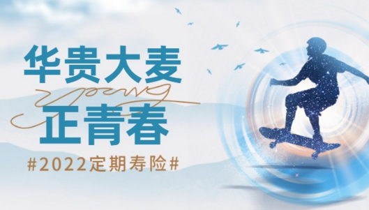 華貴大麥2022定期壽險優缺點表現在哪幾方麵？插圖