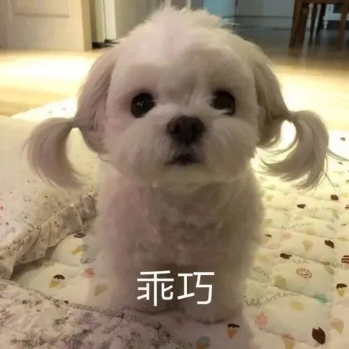 醫保新規：平時用醫保卡買藥需出示身份憑證；醫保卡外借將被處罰！插圖10