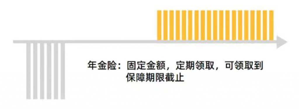 弘康金玉滿堂：安全穩定，長期收益可觀，市場第一梯隊產品長啥樣？插圖4