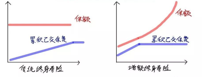 弘康金玉滿堂：安全穩定，長期收益可觀，市場第一梯隊產品長啥樣？插圖2