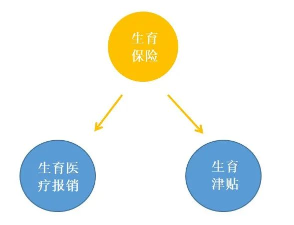最全麵的產檢費、生產費、生育津貼領取攻略!插圖1 最全麵的產檢費、生產費、生育津貼領取攻略!插圖1