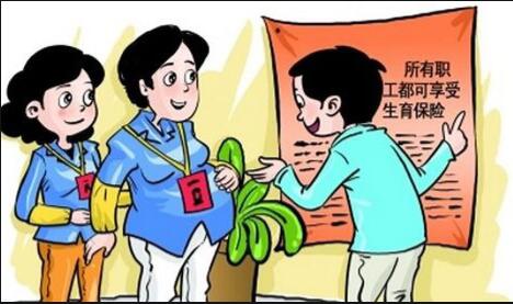 生育保險是不是和醫療保險合並了有利於簡化流程插圖