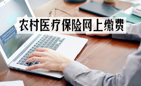 醫療保險網上怎麽繳費，流程是什麽？插圖