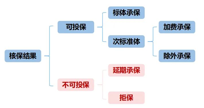 《人民日報》披露體檢異常的前十名，看看你中了嗎？體檢異常保險怎麽購買好？插圖4