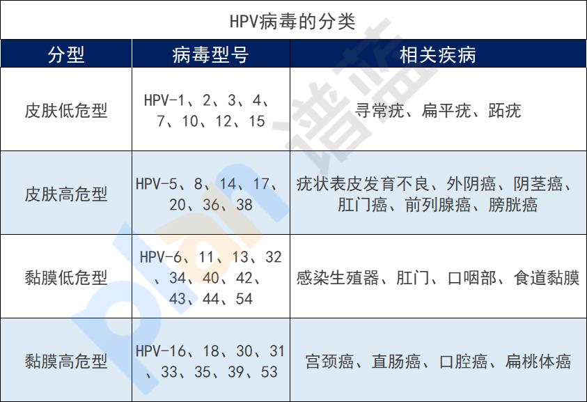 九價HPV疫苗擴齡到9-45歲，一定要打嗎？打了有什麽用？插圖4