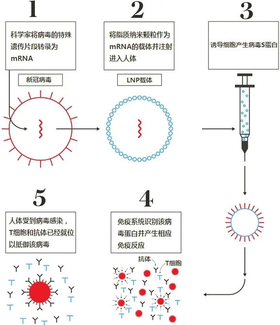 癌症疫苗可能會在2030年前問世？癌症防治的現狀怎麽樣？插圖4