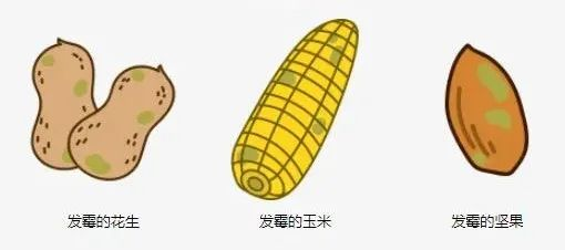 檳榔這類一級致癌物已被下架！普通人應該如何預防癌症？插圖16