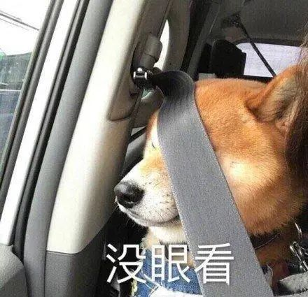 這種保險即將刷屏朋友圈，提前了解下？插圖22