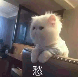 人不在了保險就能賠？這些情況不一定插圖