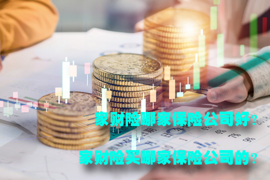 哪家保險公司適合家庭財產(chan) 保險？如何購買(mai) 家庭財產(chan) 保險？有必要購買(mai) 家庭財產(chan) 保險嗎？插圖2