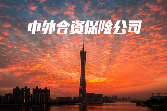 中外合資保險公司有哪些？插圖1
