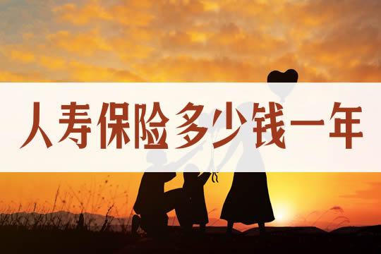 一年人壽保險多少錢？插圖