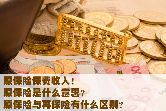原保險費收入！原保險費收入是什麽(me) 意思？插圖