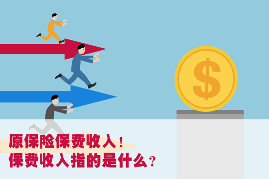 原保險費收入！原保險費收入是什麽(me) 意思？插圖2