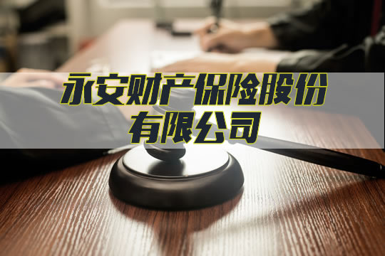 永安財產(chan) 保險有限公司<strong>公司簡介</strong>插圖