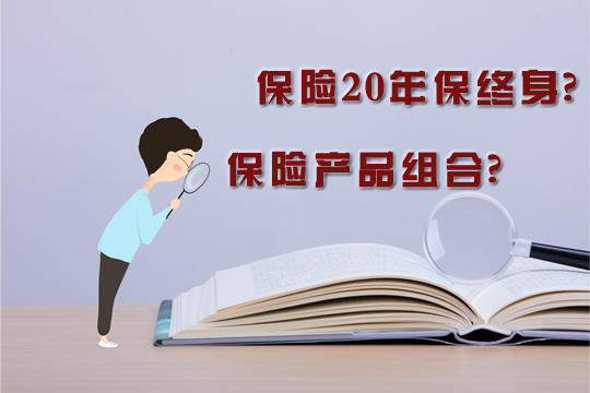 保險終身20年，赛马会APP下载官网組合插圖