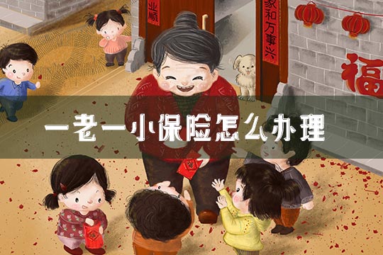 一老一小保險是什麽(me) ？插圖