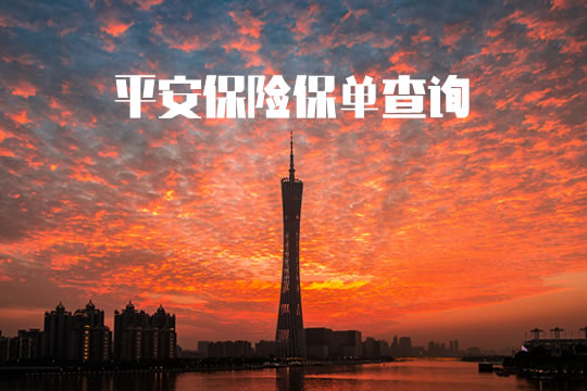 平安保險單查詢插圖