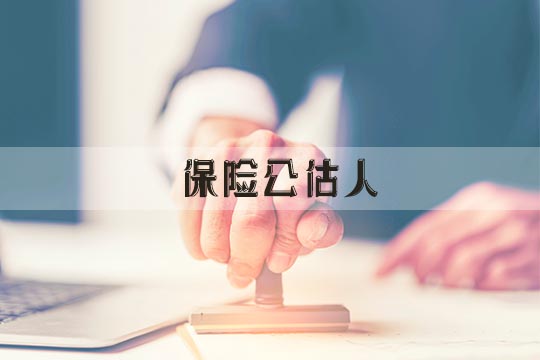 保險公估人插圖