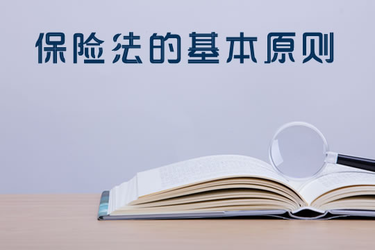 保險法的基本原則！插圖