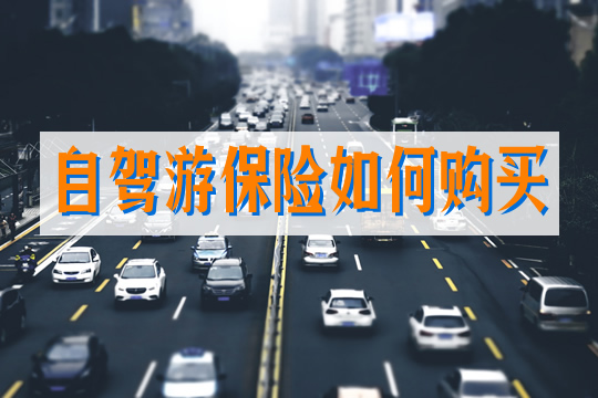 如何購買(mai) 自駕遊保險插圖