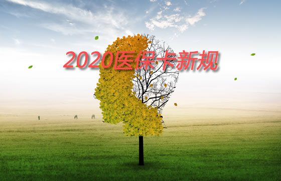 餘(yu) 額將清零！醫保卡新規、醫保改革福利？插圖