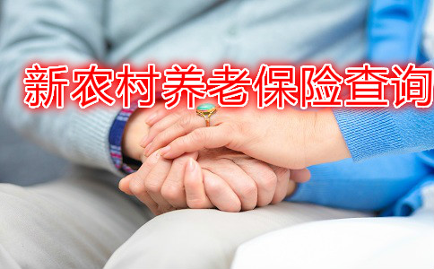 如何查詢新農(nong) 村養(yang) 老保險？插圖