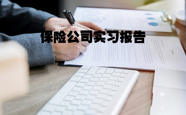 保險公司實習(xi) 報告插圖