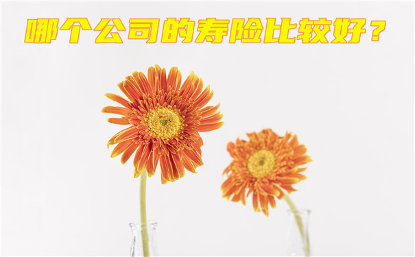 哪家公司的壽險比較好？插圖