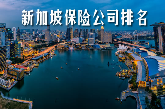 新加坡保險公司排名！哪些公司實力雄厚？新加坡購買(mai) 注意事項插圖2