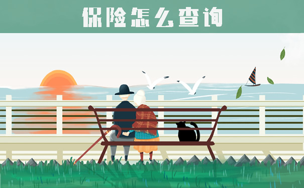 如何查詢保險！如何查詢2023年的個(ge) 人保險單？插圖