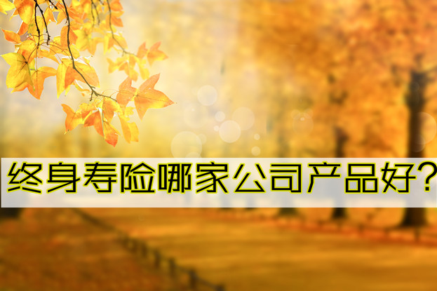 哪家公司的終身壽險產(chan) 品好？插圖