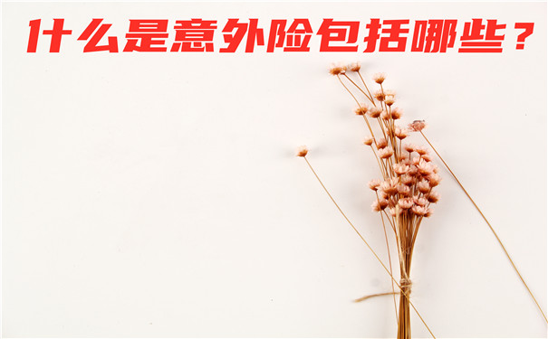 什麽(me) 是意外險？插圖