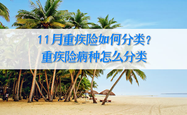 11月大病保險怎麽(me) 分類？大病保險怎麽(me) 分類？插圖