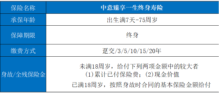 濟南中意保險有哪些產品？插圖2