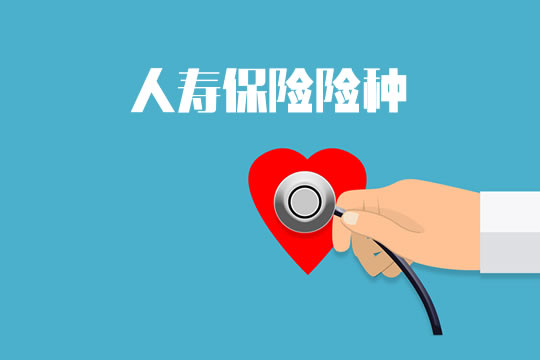 人壽保險介紹插圖
