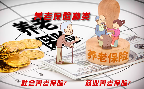 養(yang) 老保險種類插圖