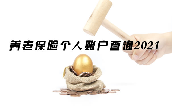 養(yang) 老保險個(ge) 人賬戶查詢插圖4