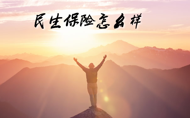 民生保險服務怎麽(me) 樣？可靠嗎？插圖